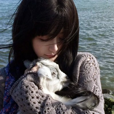 非故意恋爱故事